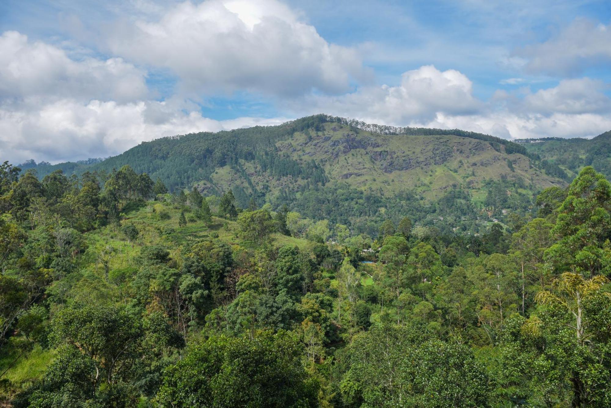 Отель Tea Hills Элла Экстерьер фото